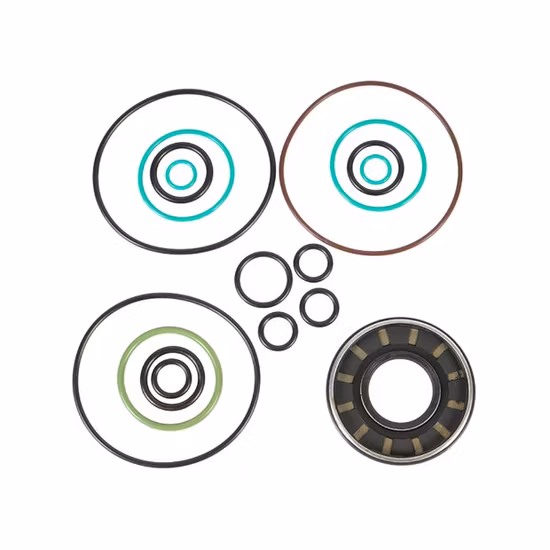 Строительная техника Мини-двигатель Колесный погрузчик Гусеничная ходовая часть Гидравлический насос Деталь для замены экскаватора Ремкомплект Rexroth Komatsu Hyundai Kubota Kobelco